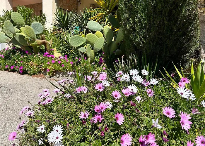 Apartament Le Cocon Des Floreal *