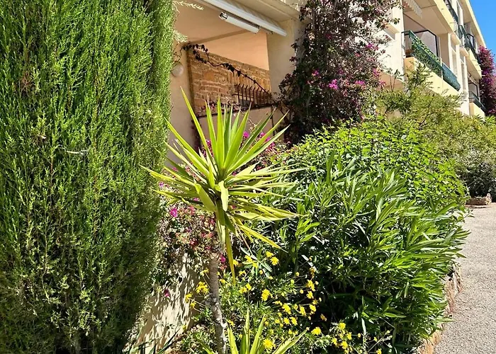 Le Cocon Des Floreal * Bandol