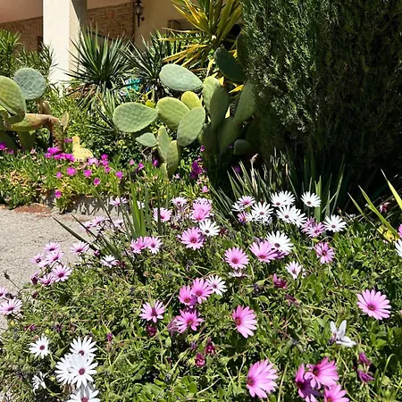 Apartman Le Cocon Des Floreal *